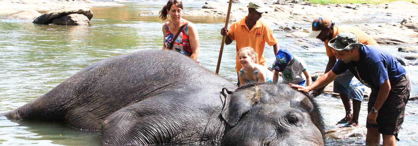 sri-lanka-elephant-watching-1