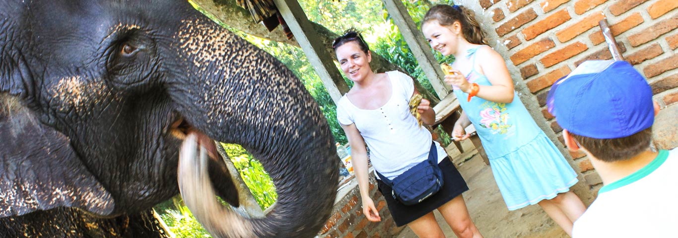 sri-lanka-elephant-watching-3